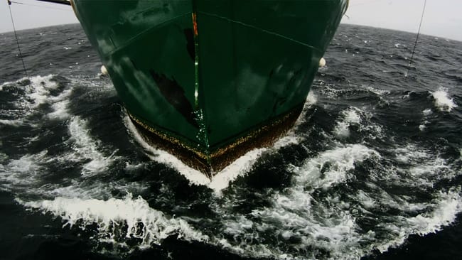 Leviathan-Proue.jpg