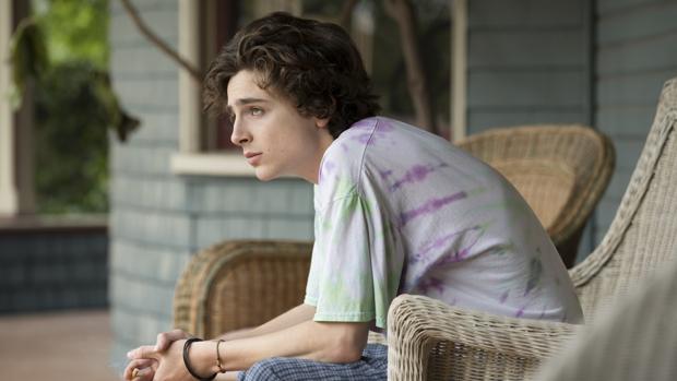 Timothee-Chalamet-beautiful-boy-kNwG--620x349@abc.jpg