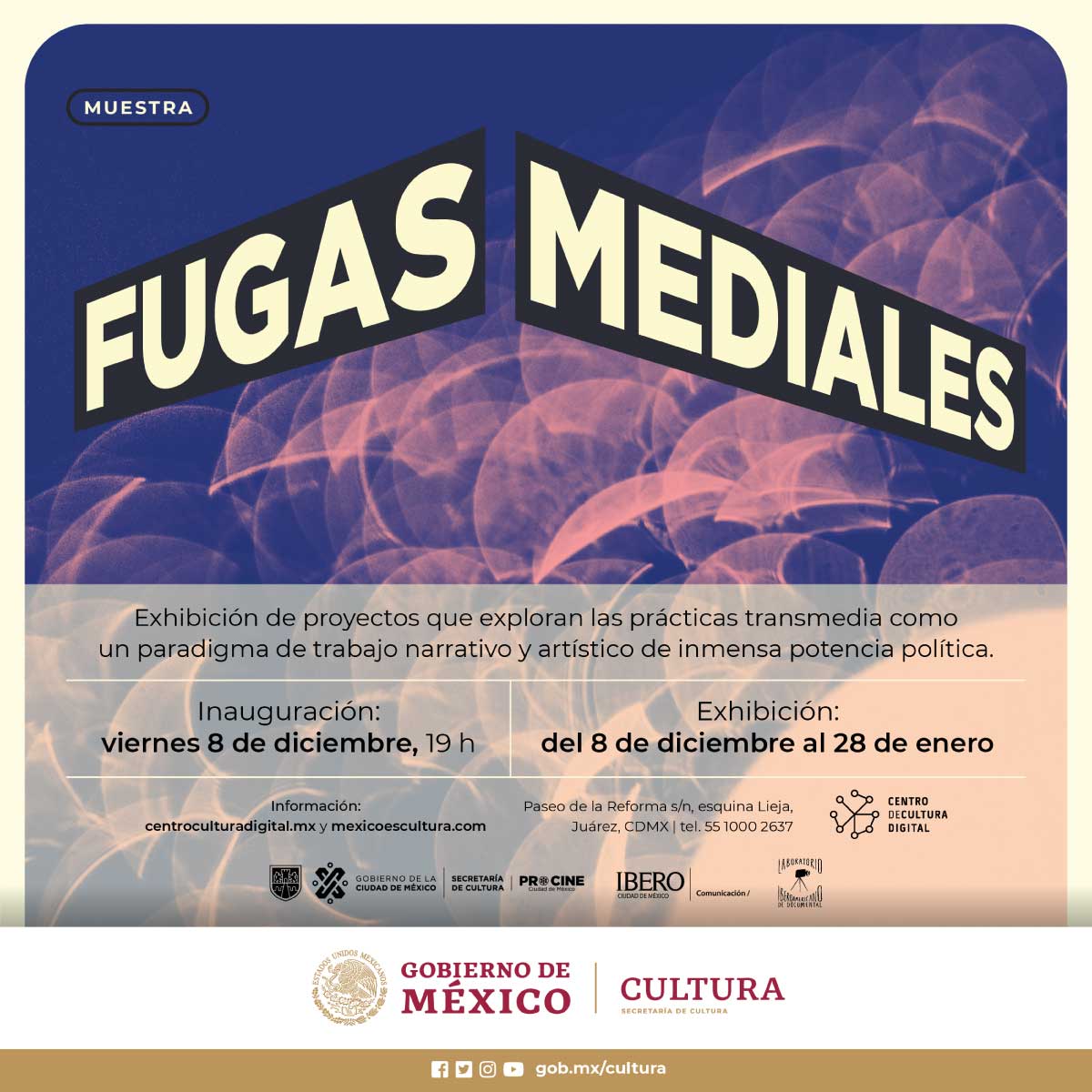 FugasMediales.jpg