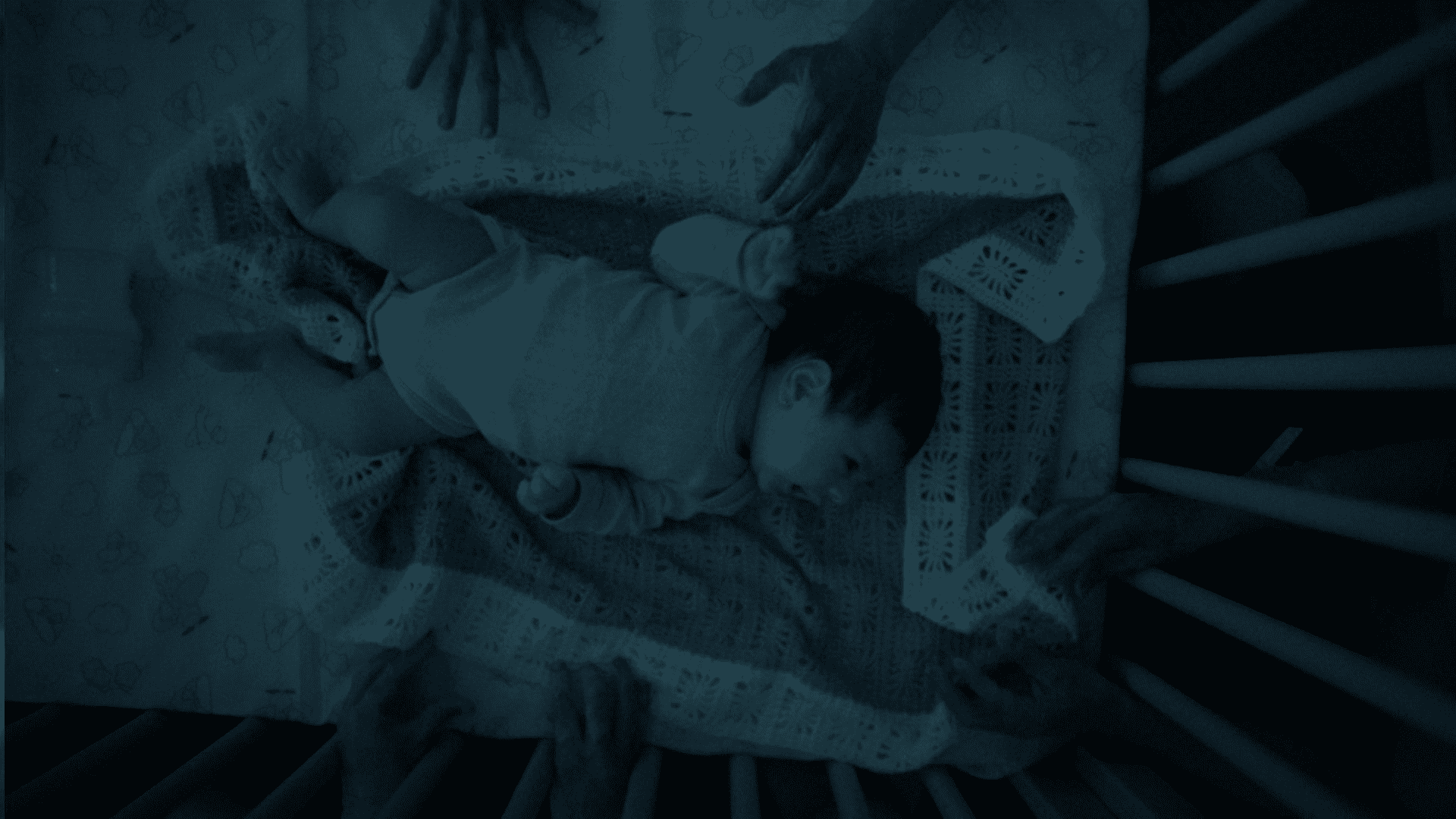 63fd331f61eec495542059 (1).png