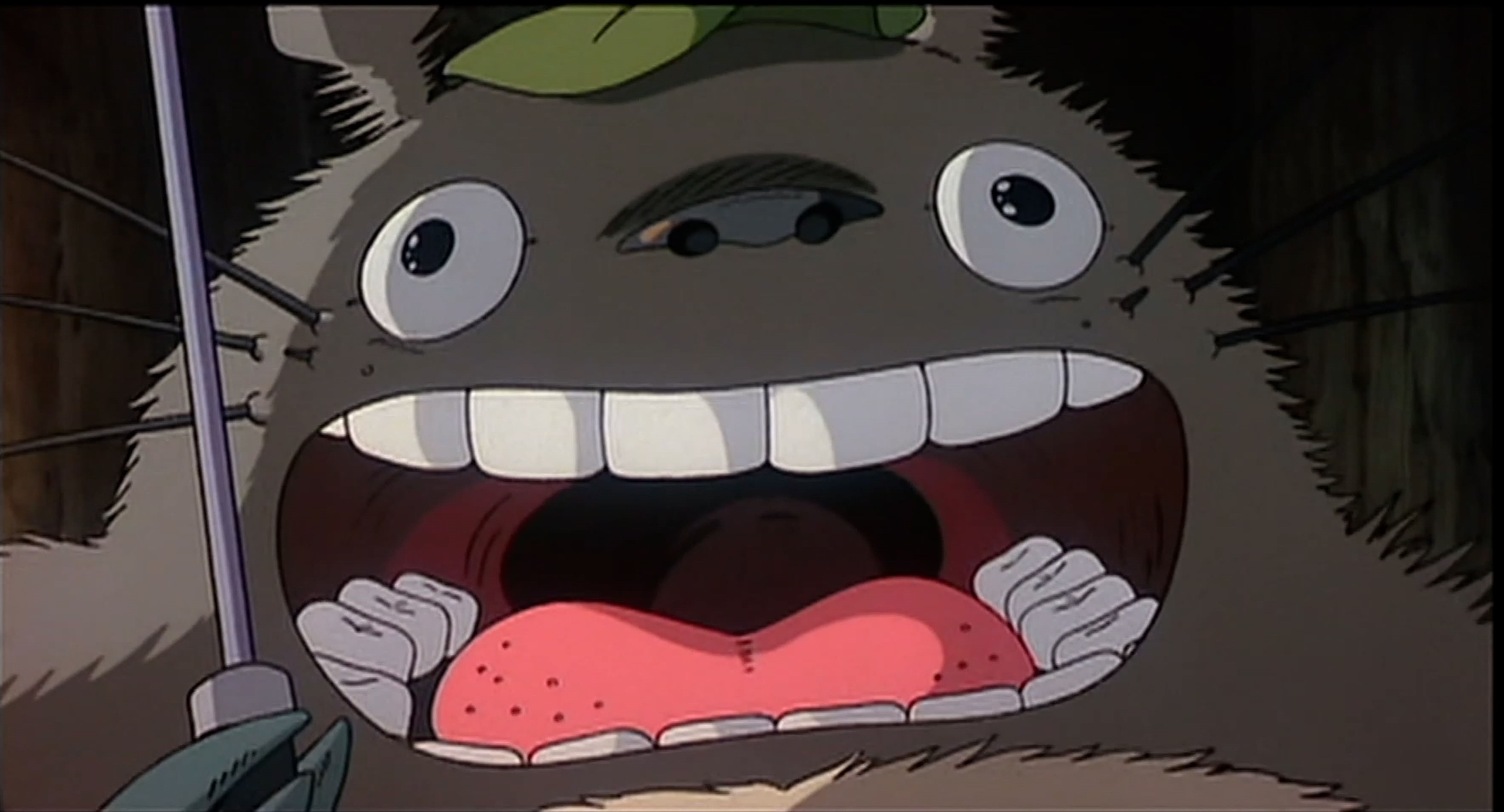 TV UNAM - 10 AÑOS CON HAYAO MIYAZAKI_5.jpg