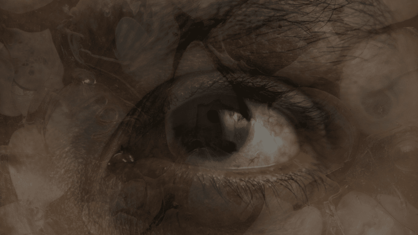 still_1_3_1360x765 (1).png