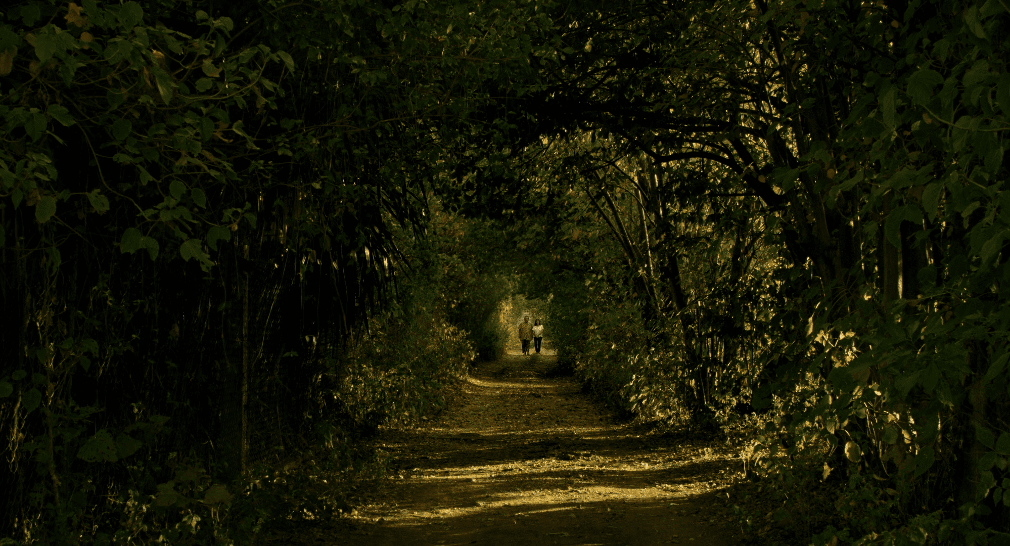 08 enlightened still 8 (1).png
