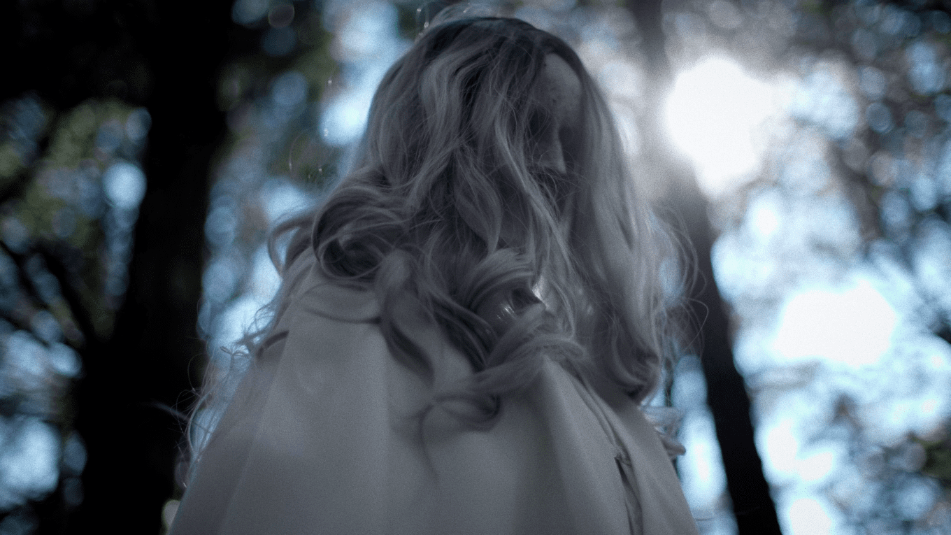 still_2_3_1360x765 (1).png
