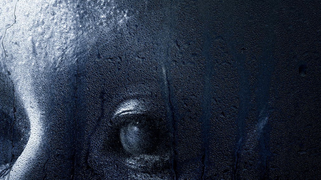 still_0_3_1360x765 (1).png
