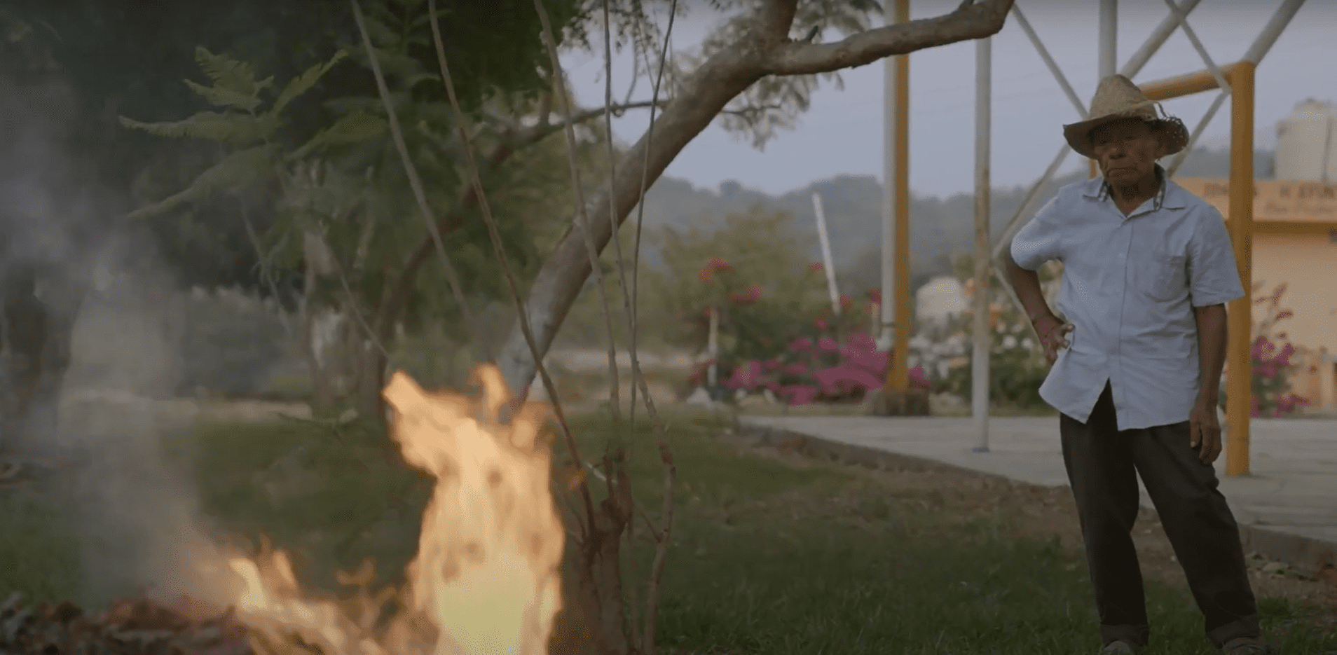 Captura de pantalla 2024-06-03 121410 (1).png