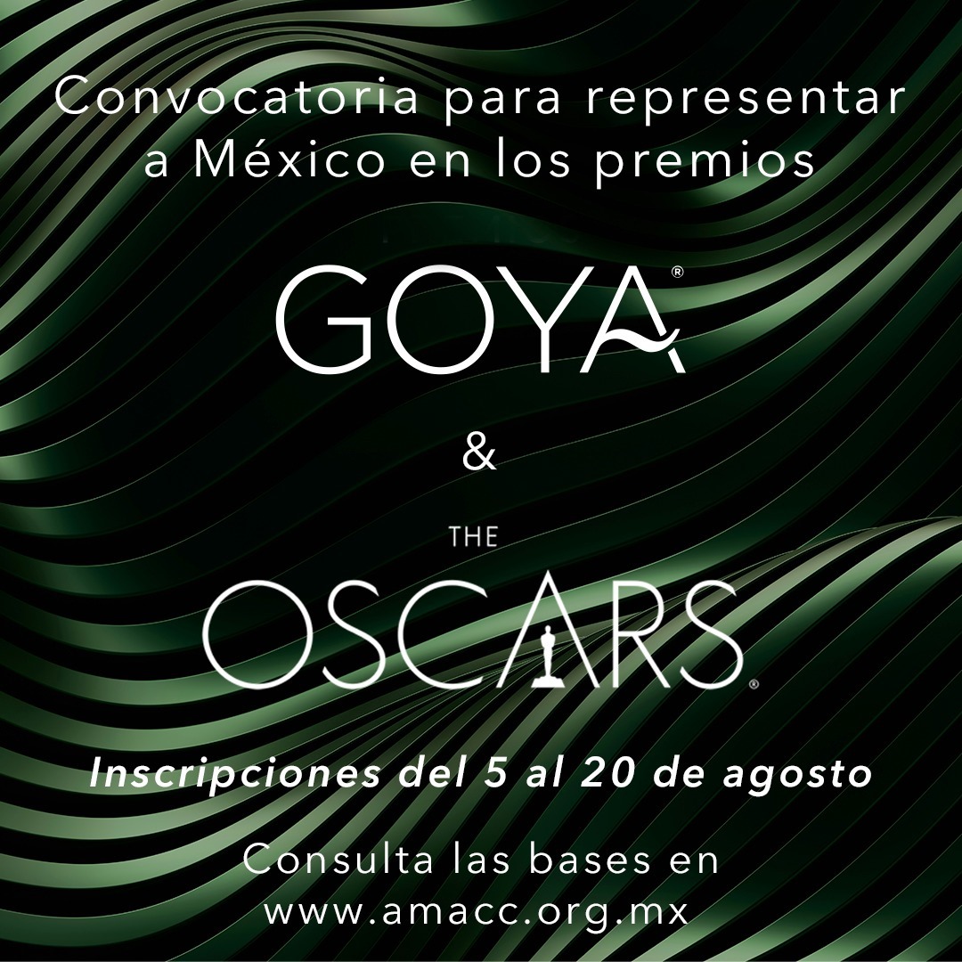 Imagen de WhatsApp 2024-07-31 a las 16.27.39_48f76495.jpg