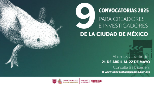 propuestas-ajolote.jpg