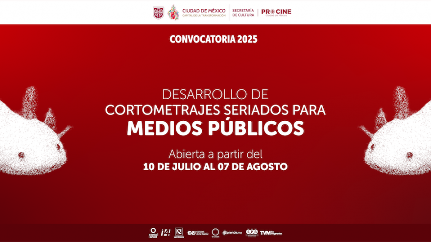 Convocatoria: Apoyo para Desarrollo de Cortometrajes Seriados para Medios Públicos 2025