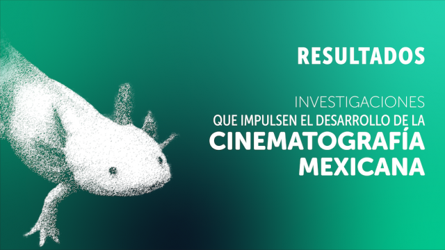 CNV_9_Resultados individuales_Investigaciones.png