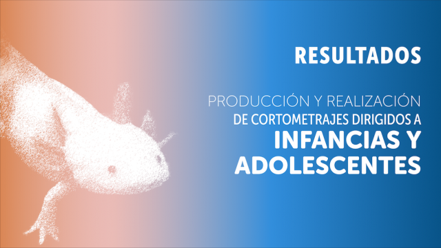CNV_9_Resultados individuales_Infancias.png