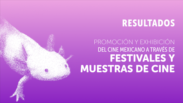 CNV_9_Resultados individuales_Festivales y muestras.png