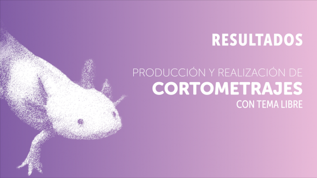 CNV_9_Resultados individuales_Tema libre.png