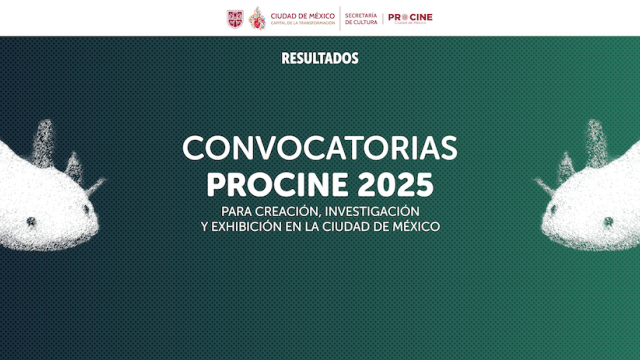 CNV_9_Resultados_Banner copy.png